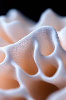 Macro close-up of organic wavy structure with textured surface showing delicate patterns and holes against soft peach background. Suitable for scientific or abstract designs.