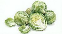 Brussels sprouts and halved cabbage arranged on white background, suitable for food, nutrition, cooking, and healthy eating content.
