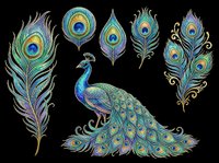Peacock bird with ornamental feathers isolated on transparent background, ready for t-shirt design, clipart, stickers, sublimation and print-on-demand projects.