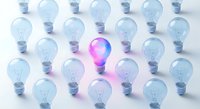 Glowing pink light bulb stands out among clear bulbs on white background representing innovation, creativity and unique ideas in business.