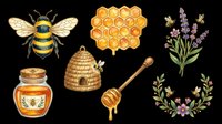 Watercolor honey bee clipart set with honeycomb, hive, honey jar, dipper, lavender, and floral wreath, isolated on transparent background for stickers, T-shirts, print on demand.