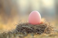 Pink egg resting in natural bird nest made of twigs and straw, illuminated by soft golden sunlight creating dreamy bokeh background effect.