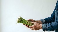 Farmer holding fresh green asparagus bunch in hands against white background. Suitable for organic produce, agriculture, and healthy food marketing materials.