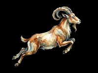 Leaping goat with curved horns isolated on transparent background, ready for t-shirt design, clipart, stickers, print-on-demand products and sublimation projects.