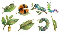 Caterpillars and chrysalis stages with green leaves on white background, isolated design elements suitable for educational materials, children's illustrations, nature graphics, and textile printing.