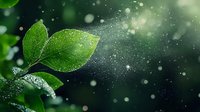 Fresh green leaves with water drops against dark background, magical bokeh effect and spray mist creating dreamy natural atmosphere. For nature and wellness designs.