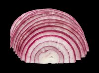 Red onion sliced in half showing concentric rings and layers isolated on transparent background, ready for culinary design, food packaging, recipe graphics, cooking blogs, restaurant menus, and print-on-demand products.