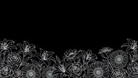 Elegant white line art floral border on black background with roses, lilies and daisies for wedding invitations, greeting cards and decorative designs.
