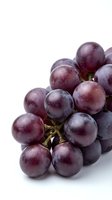 Fresh purple grapes cluster isolated on white background for healthy eating and nutrition concepts.