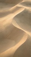 Golden sand dunes with flowing curves and rippled textures creating abstract patterns in warm desert light for nature and travel concepts.