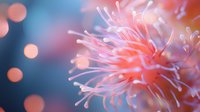 Vibrant coral-pink sea anemone tentacles in macro photography against blurred blue background with soft bokeh lights creating dreamy underwater atmosphere.