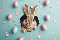 Adorable brown bunny peeking through round hole surrounded by pink Easter eggs and confetti dots on mint green background, festive spring holiday composition.