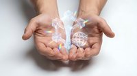 Cupped hands protecting holographic digital icons representing technology, innovation and connectivity with glowing network symbols floating above palms.