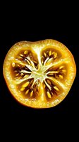 Fresh orange slice cross section showing detailed internal star pattern and seeds against black background, macro photography highlighting natural geometry.