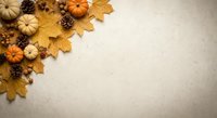 Autumn harvest decoration with pumpkins, pine cones, maple leaves and acorns arranged on neutral background with copy space for seasonal designs.