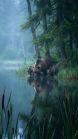 Brown bear mother with two cubs wading through calm lake water surrounded by tall evergreen forest and cattails, wildlife in natural habitat.