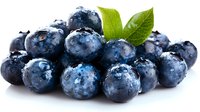 Fresh blueberries with water droplets and green leaves isolated on white background, suitable for food, nutrition, and healthy eating designs.