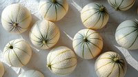 Fresh white cantaloupe melons arranged in rows casting soft shadows on light background, showcasing natural texture and patterns of ripe fruit.