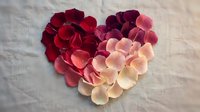 Heart shape made of rose petals in gradient ombre from deep red to soft pink and white on linen fabric background.