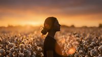 Young African American woman silhouette drinking coffee in cotton field during golden hour sunrise, peaceful morning moment in agricultural landscape.
