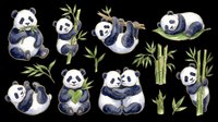 Cute panda bears in various playful poses with bamboo leaves, isolated on transparent background. Ready for t-shirt designs, stickers, clipart, sublimation, and print-on-demand products.