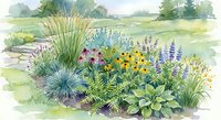 Watercolor garden border with ornamental grasses, colorful perennial flowers and foliage plants in natural landscape setting for landscaping design.