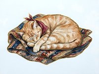 Ginger tabby cat sleeping curled up on decorative patterned fabric cushion. Isolated artwork suitable for home decor, pet-themed designs, and feline illustrations.
