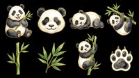 Cute panda bears with bamboo leaves isolated on transparent background, ready for t-shirt designs, stickers, clipart, sublimation and print-on-demand products.