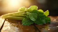 Fresh green celery stalks with water droplets and leaves on dark wooden surface in warm sunlight, macro photography with selective focus and bokeh effect.