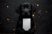 Black Labrador puppy holding blank white card against dark background with bokeh lights, creating magical mood for pet photography and announcements.