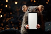 Gray rat holding blank smartphone with white screen against dark background with golden bokeh lights, concept for technology or social media.