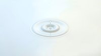 Recessed ceiling light fixture with circular trim ring and adjustable downlight on white ceiling for residential or commercial interior design.