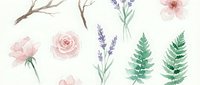 Watercolor botanical elements set with pink roses, lavender sprigs, fern leaves and bare branches isolated on transparent background for wedding designs.