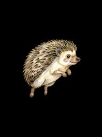 Cute watercolor hedgehog running, isolated on transparent background. Ready for stickers, t-shirt design, print on demand, clipart, and sublimation projects.