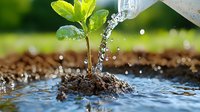 Young green seedling growing in soil being watered from bottle, with water splashes and droplets creating dynamic motion effect against blurred natural background.