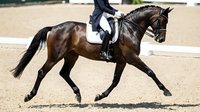 Equestrian athlete in formal black attire riding a dark brown horse during dressage competition in sandy arena, showcasing horsemanship and athletic performance.