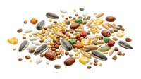 Mixed nuts seeds and dried fruits scattered on white background healthy snacking trail mix ingredients isolated for design use.