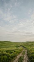 Dirt road winding through rolling green hills under cloudy sky, rural landscape for travel, nature, and countryside design projects.