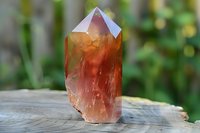 Orange citrine crystal point on wooden surface with natural green foliage background for healing meditation spiritual wellness energy work decoration.
