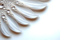 Delicate white petals with morning dew drops creating natural pattern. Soft macro photography reveals intricate details and water droplets on pure white surface.
