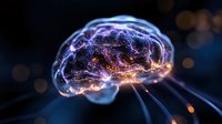 Glowing translucent brain with purple and orange neural connections on dark background showing synaptic activity and consciousness visualization for neuroscience concepts.