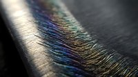 Macro close-up of iridescent peacock feather showing detailed barbs with rainbow colors and metallic sheen against dark background for nature designs.