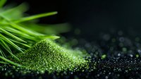 Fresh green spirulina or chlorella powder scattered on dark background with wheat grass blades, superfood concept for healthy nutrition and detox.