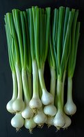 Fresh organic spring onions with white bulbs and long green stems arranged on dark background, perfect for food photography and culinary design projects.