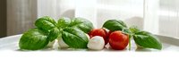 Fresh basil leaves with cherry tomatoes and mozzarella balls arranged on white surface in bright kitchen setting for Italian cooking and healthy eating.