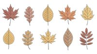 Collection of autumn leaves in warm colors with detailed line art patterns isolated on white background for seasonal design projects.