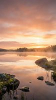 Serene lake at sunrise with golden sky reflecting on calm water, misty forest shoreline, and moss-covered rocks in foreground. Peaceful nature landscape for meditation and wellness projects.