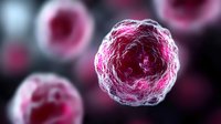 Pink glowing spherical cell structure on dark background with multiple cells in soft focus, scientific visualization of microscopic biological organism.