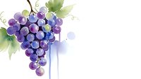 Watercolor purple grapes cluster with green leaves on white background, fresh fruit illustration for wine labels, kitchen decor and culinary designs.
