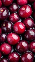 Fresh ripe cranberries with water droplets closeup macro shot for healthy eating cooking baking holiday recipes organic superfood antioxidant nutrition.